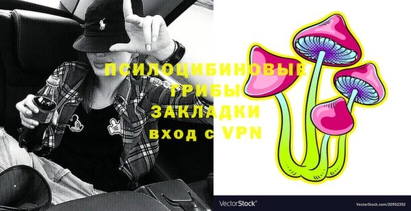 хмурый Балабаново