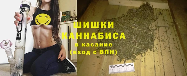 хмурый Балабаново