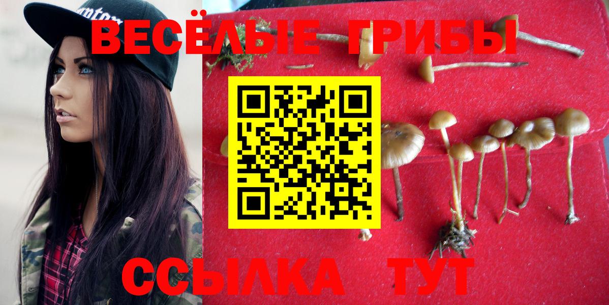 Галлюциногенные грибы GOLDEN TEACHER Борисоглебск
