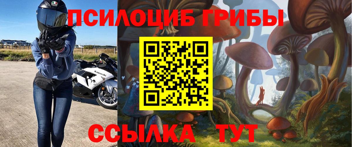 Борисоглебск  Псилоцибиновые грибы прущие грибы  наркотики  Вход с VPN 